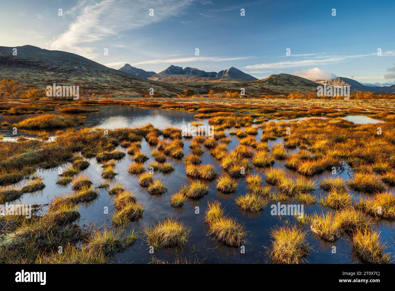 Doralen hi-res stock photography and images - Alamy
