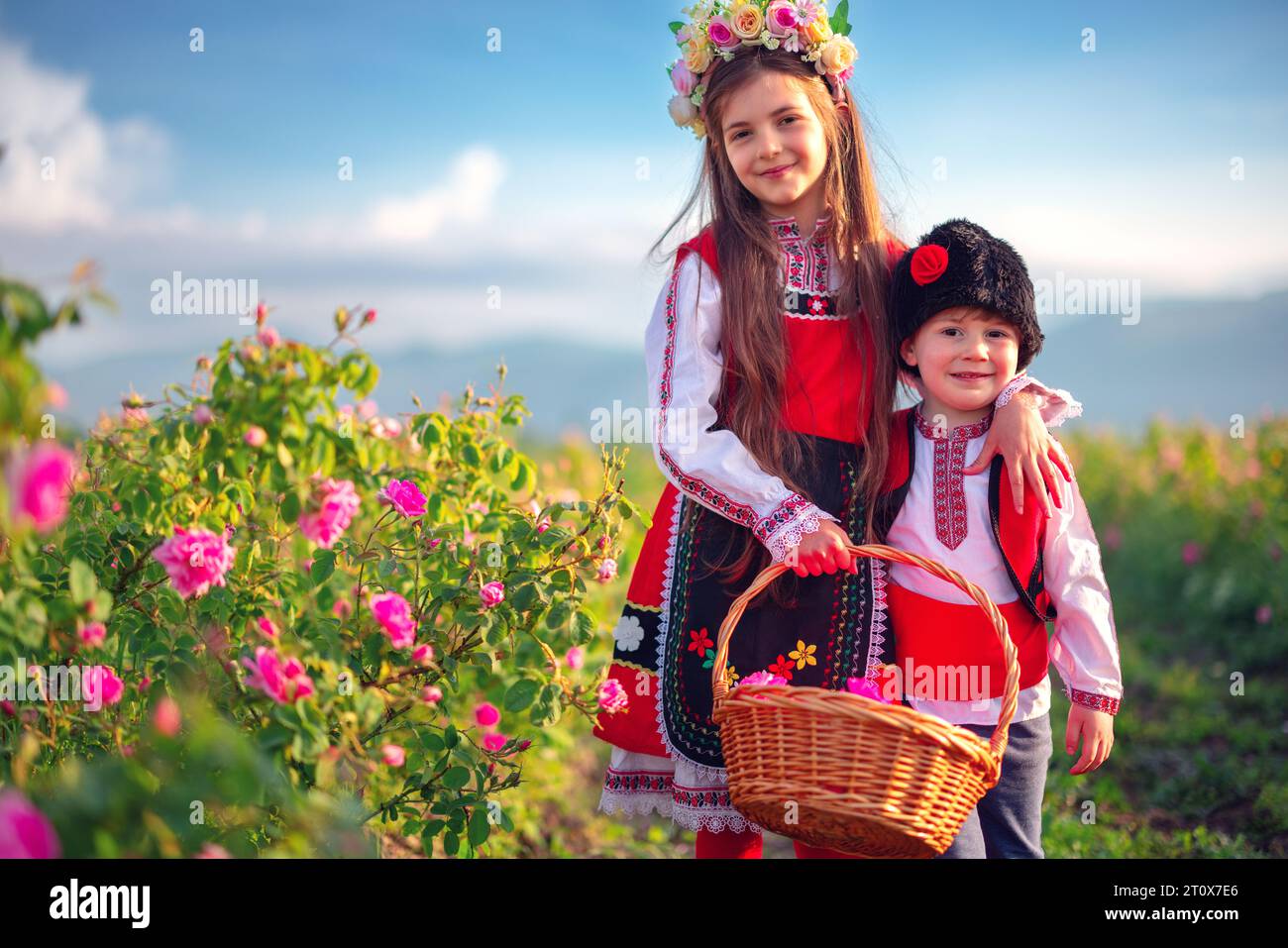 Bulgarian Rose Damascena field, Roses valley Kazanlak, Bulgaria. Boy and girl in ethnic folklore clothing harvesting oil-bearing roses at sunrise. Stock Photo