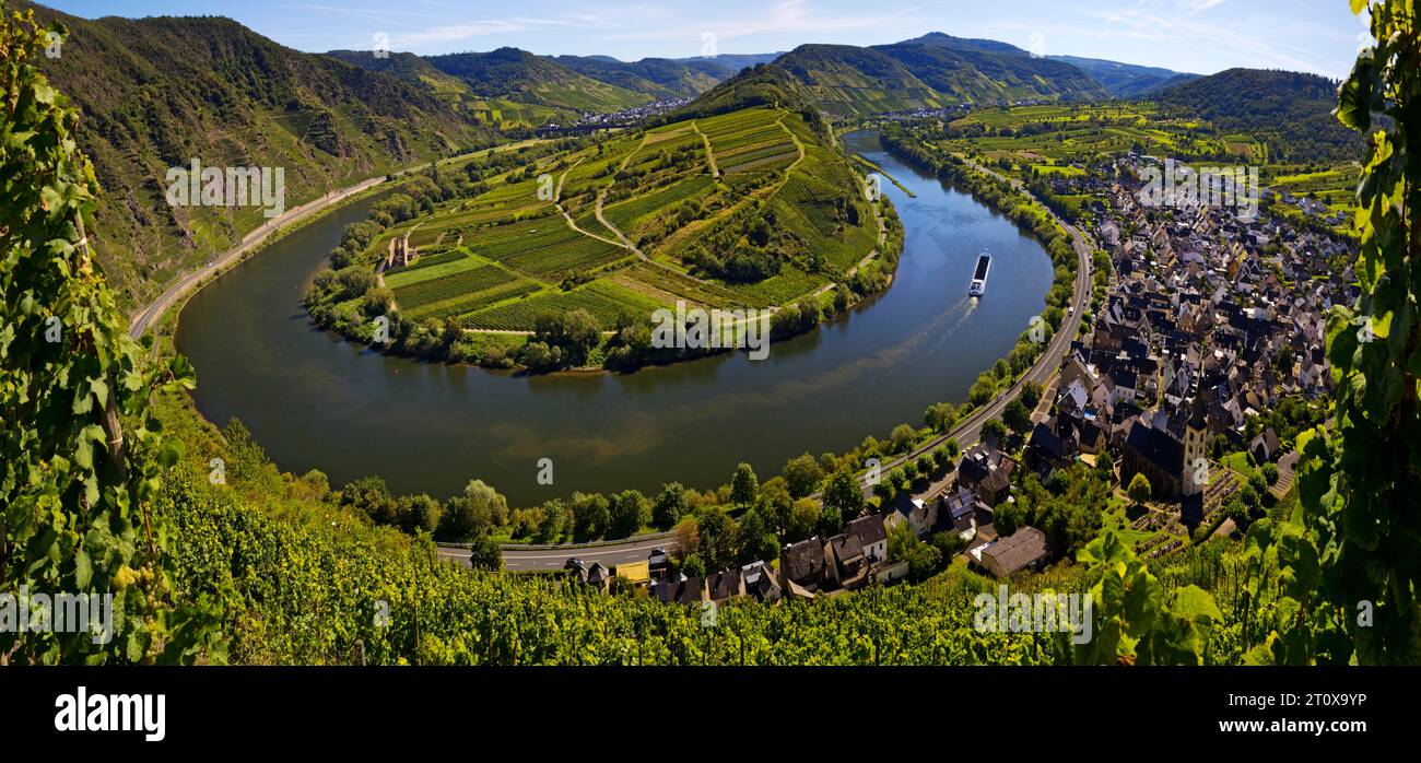 Moselle loop with vineyards and Saint Laurentius Church from the Bremmer Calmont via ferrata, Bremm, Rhineland-Palatinate, Germany Stock Photo