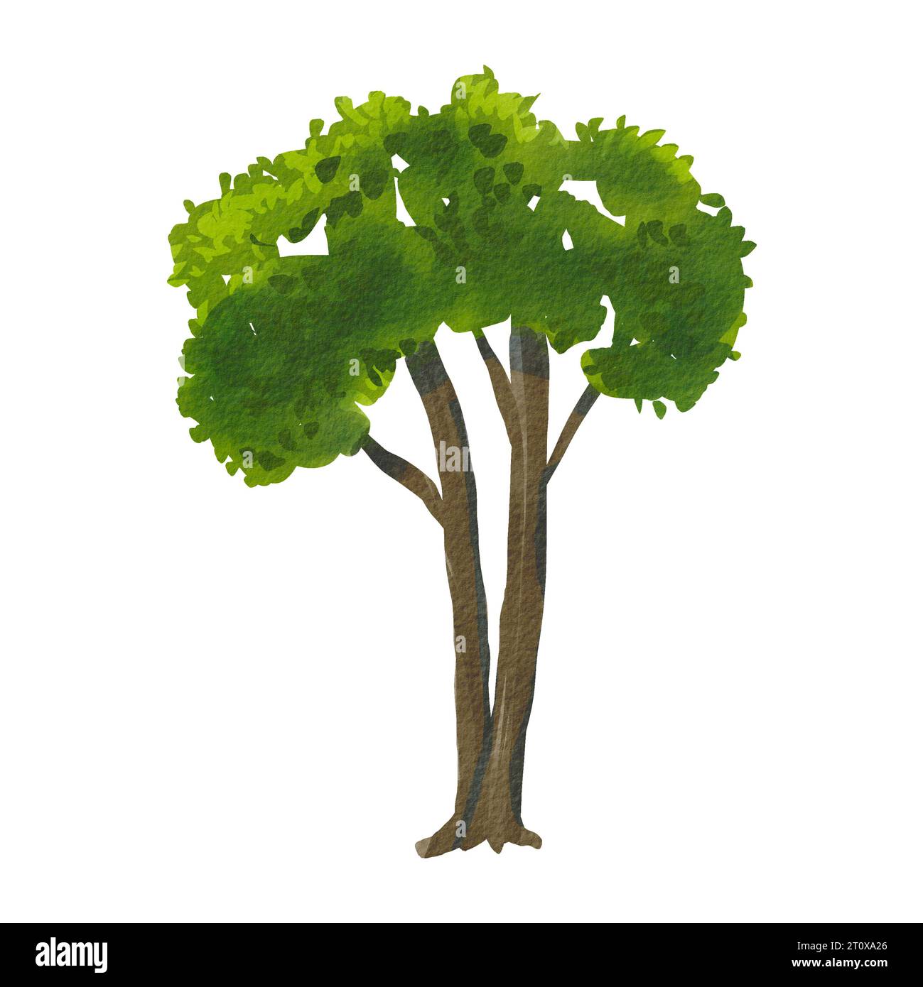 Large green deciduous trees, garden and forest elements. Watercolor