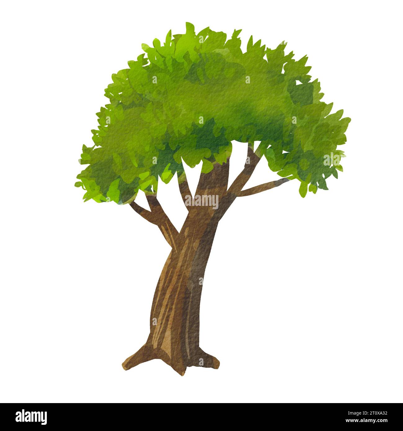 Large green deciduous trees, garden and forest elements. Watercolor illustration of nature. The