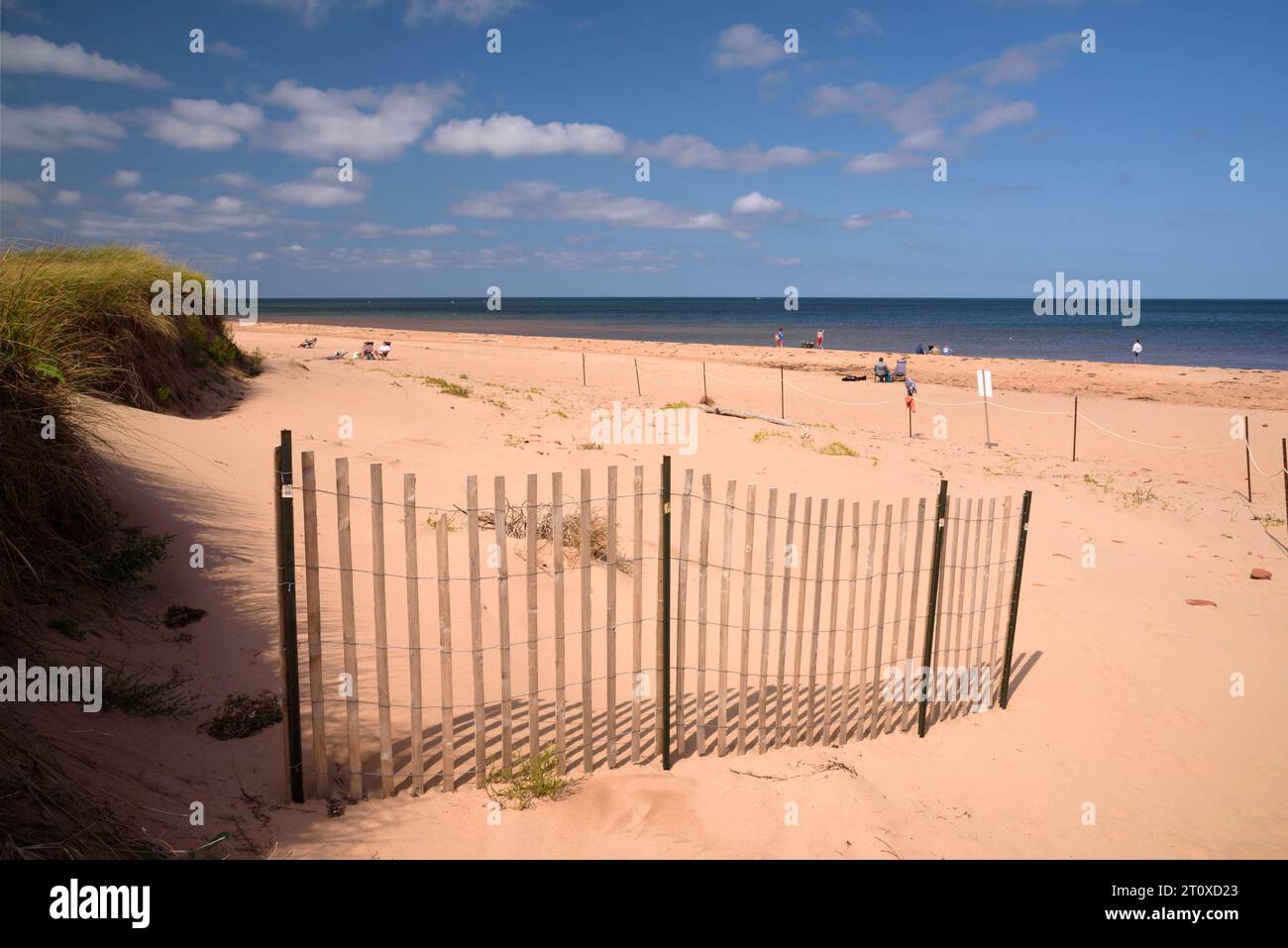 Wooden erosion fence on Stanhope beach, Prince Edward Island, Canada