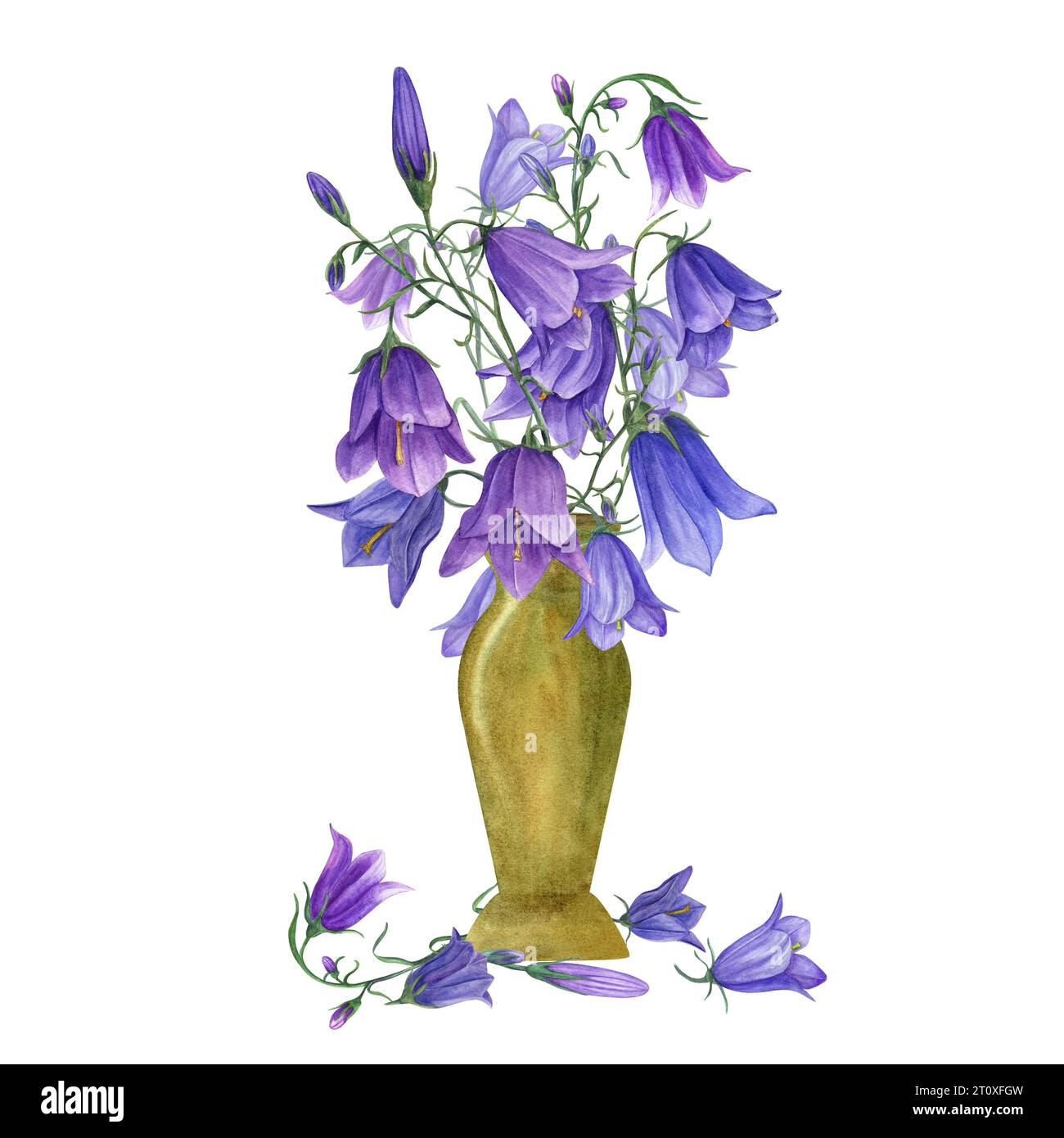 Floral bouquet in yellow ceramic pot. Campanula, harebell, bell flowers. Meadow plants in vase for interior decor, for label, logo, greetings Stock Photo