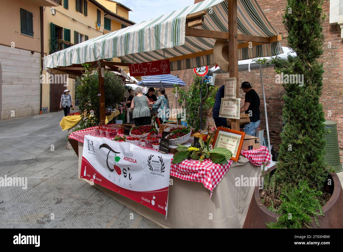 Lari, Italy-June 4, 2023; Stand of a local producer with cherries in the street of the city during the annual cherry festival Stock Photo