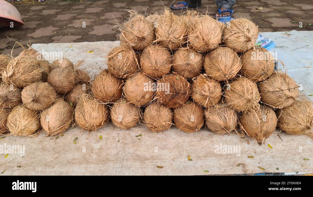 Coconuts for sale by the road side in Navelim village in South Goa in the Indian state of Goa Stock Photo