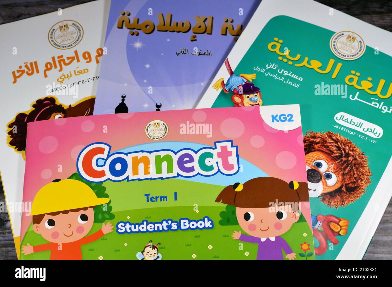 Cairo, Egypt, September 28 2023: collection of various text books