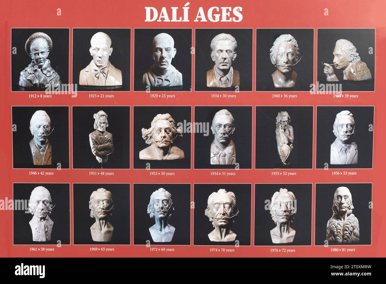 A poster showcasing a  collection of various  bust sculptures of Salvador Dalí, the Spanish surrealist artist, depicting various stages of his life. Stock Photo