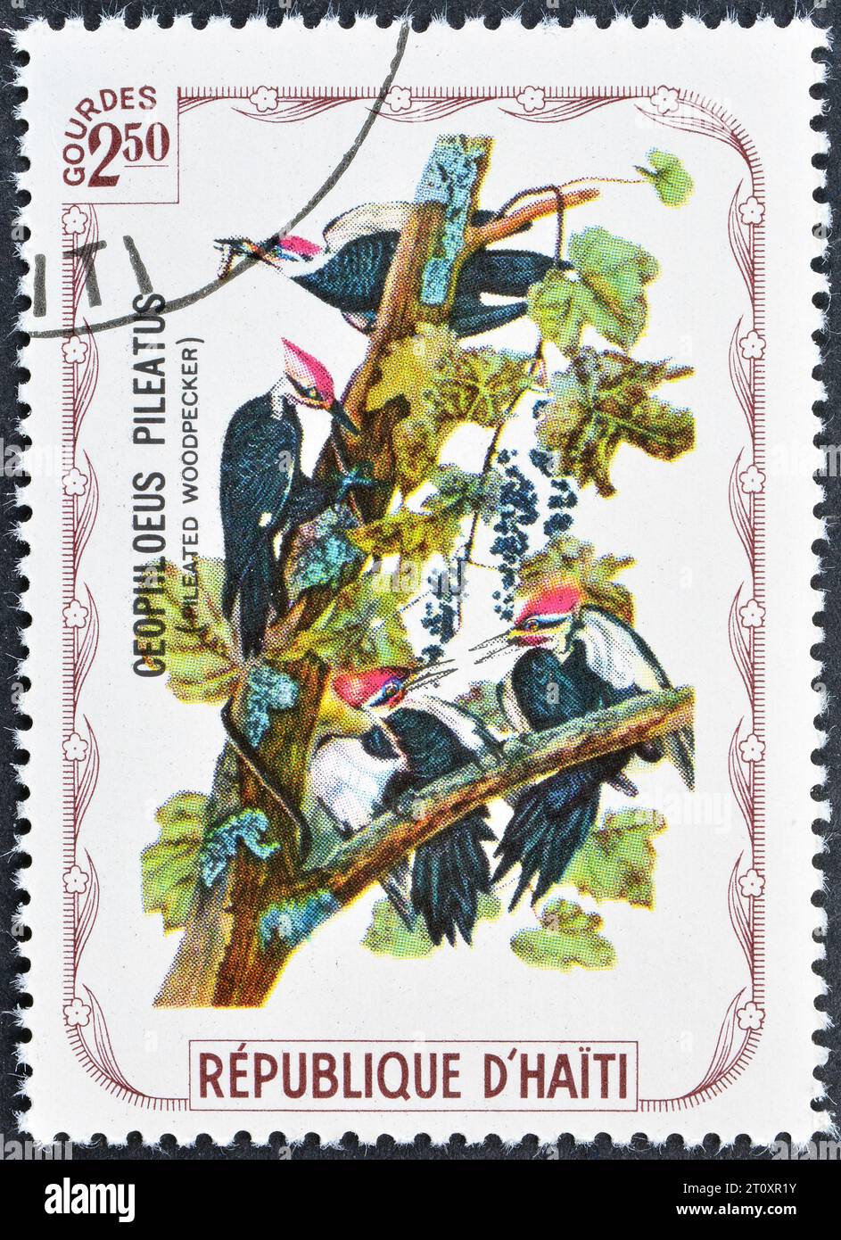 Cancelled postage stamp printed by Haiti, that shows Pileated Woodpecker, circa 1975. Stock Photo