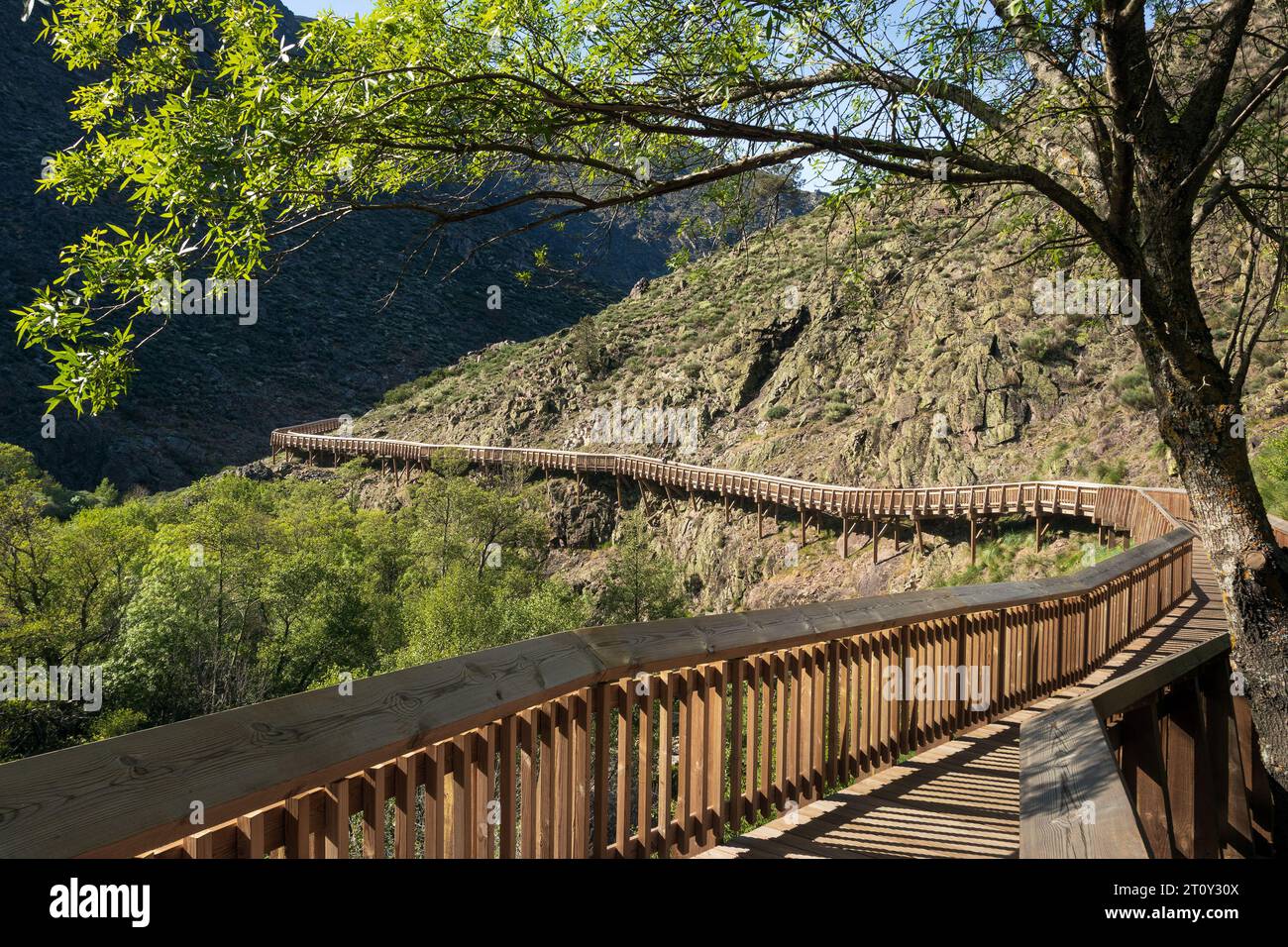 Guarda, Portugal - April 10, 2023: View of the Mondego walkways in Serra da Estrela, contouring the hillside and framed by the branches of a tree. Stock Photo