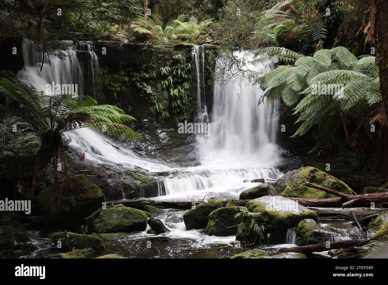 Beautiful pristine waterfalls in the forest. The stunning short walk to