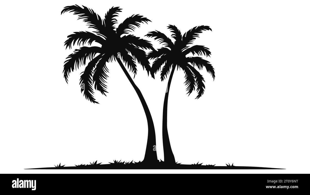 Black palm trees isolated on white background. Palm silhouettes Stock ...