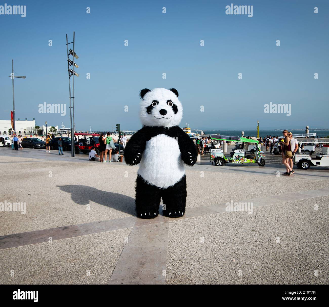 A giant panda made from Louis Vuitton handbags is displayed at Wuhan  International Plaza in Wuhan city, central Chinas Hubei province, 29 May  2013 Stock Photo - Alamy
