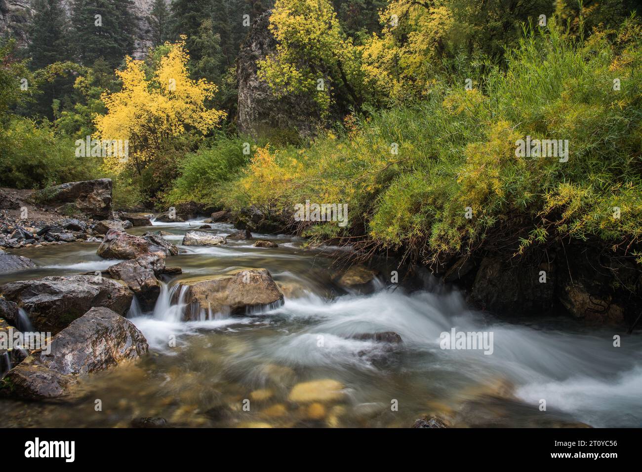 Autumn colors and majestic scenery along the famous Alpine Loop, Utah, USA. Stock Photo