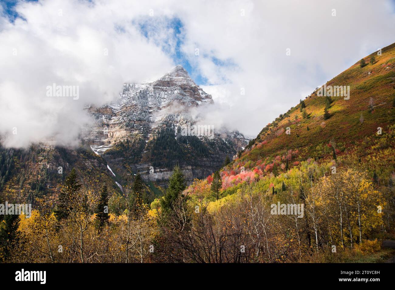 Autumn colors and majestic scenery along the famous Alpine Loop, Utah, USA. Stock Photo