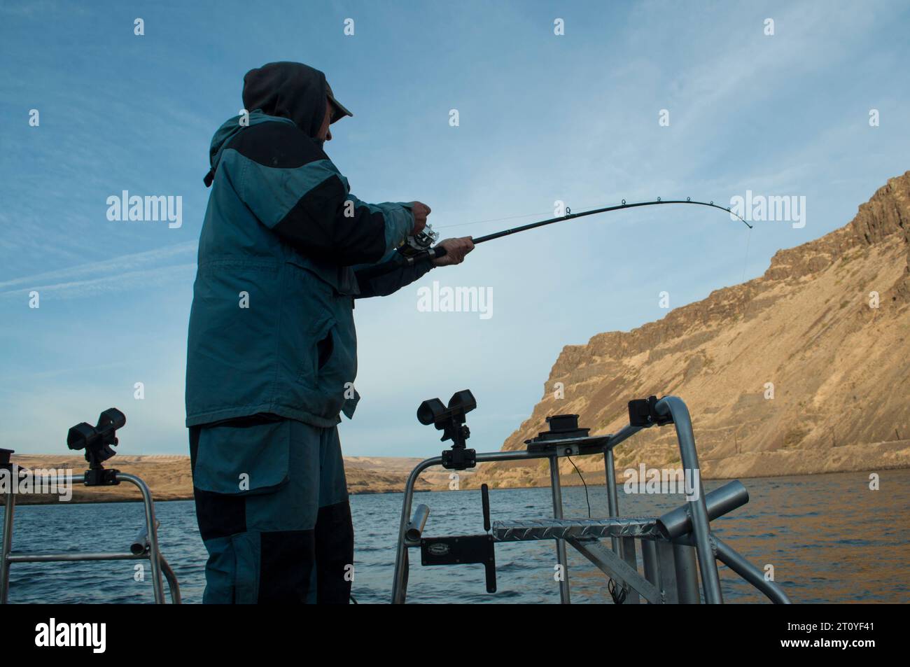 Fisherman playing a spot caught Columbia River sturgeon in a catch & release fishery. Stock Photo