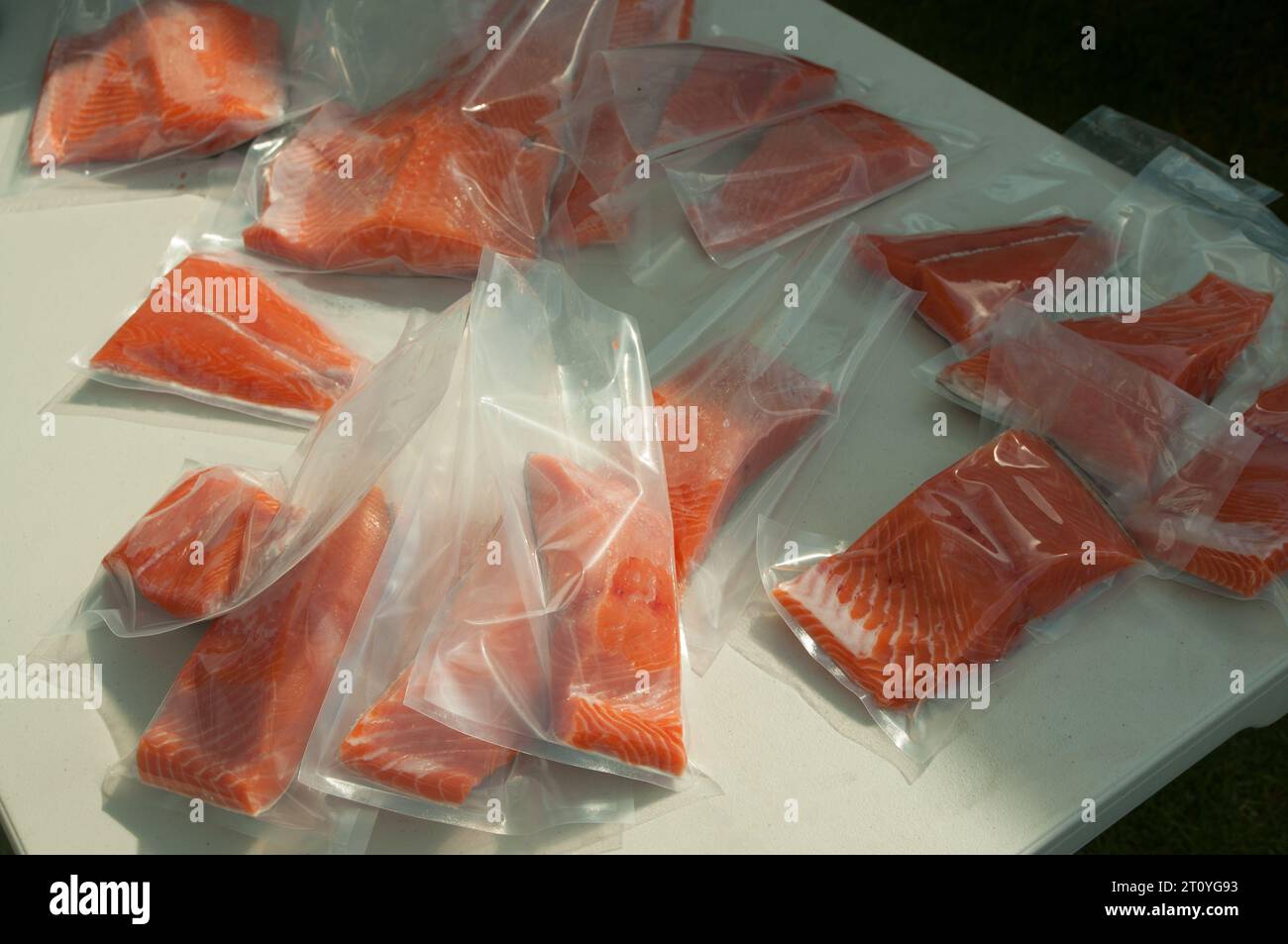 Salmon packaged for freezing ,vacuum packed. Stock Photo