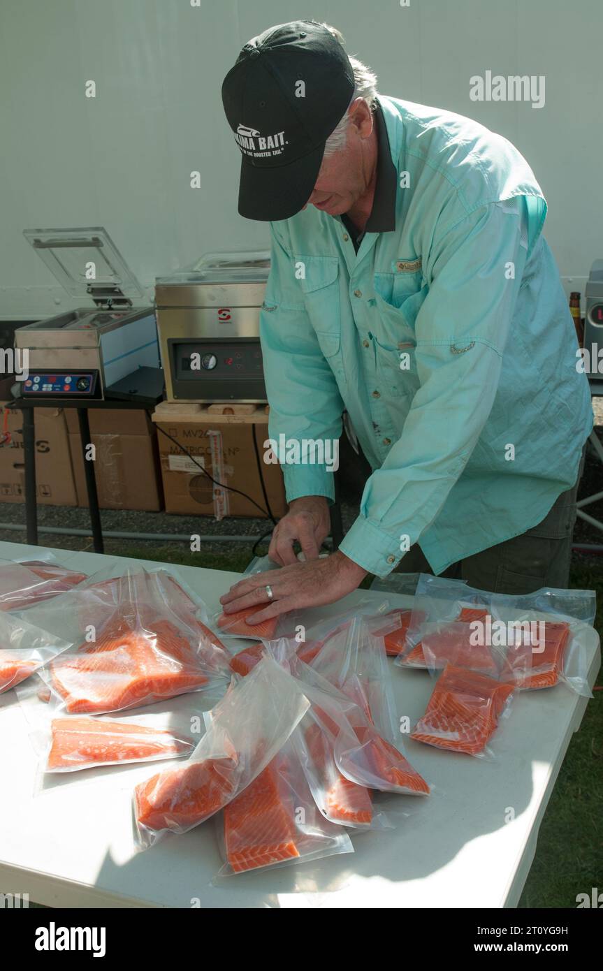 Packaging fresh caught Columbia River Chinook salmon for freezing. Stock Photo
