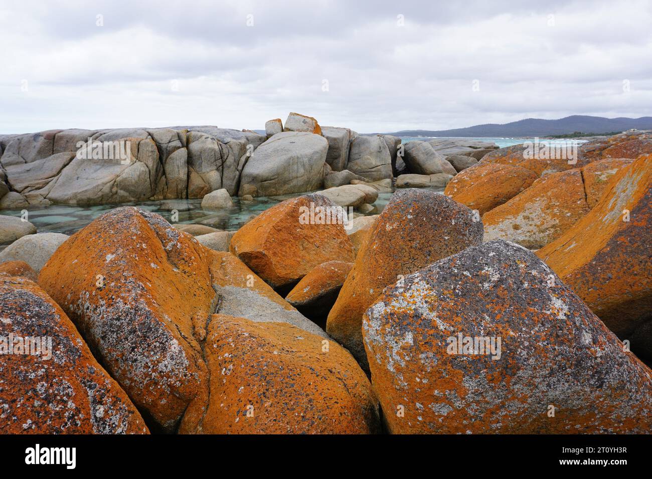 Rocks covered with orange and red algae on the coast at famous tourist  destination Bay of Fires, Tasmania, Australia Stock Photo - Alamy