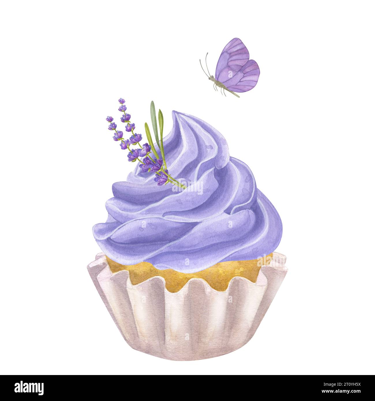 Cupcake with violet whipped cream. Decorated lavender, flowers and leaves,  butterfly. Hand drawn watercolor illustration isolated on white background  Stock Photo - Alamy, image size:1300x1390