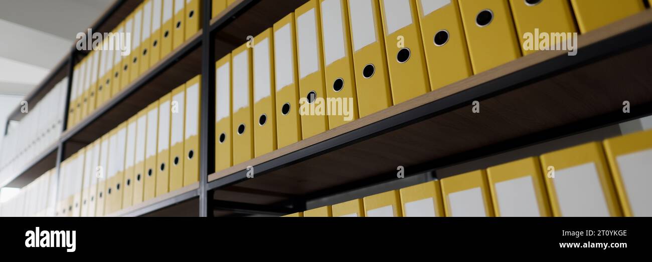Yellow ring binders with files and documents put in long rows on shelves. Organized folder