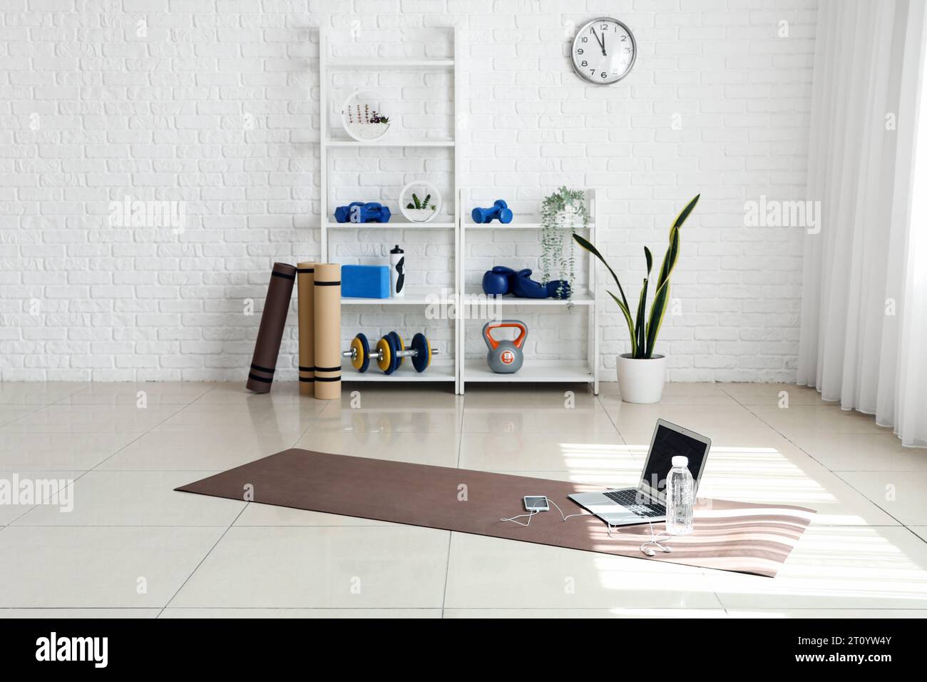 Interior of gym with shelving unit and sports equipment Stock Photo Alamy