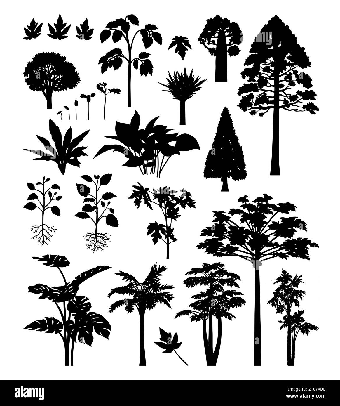 palm tree and plants element silhouettes Stock Vector