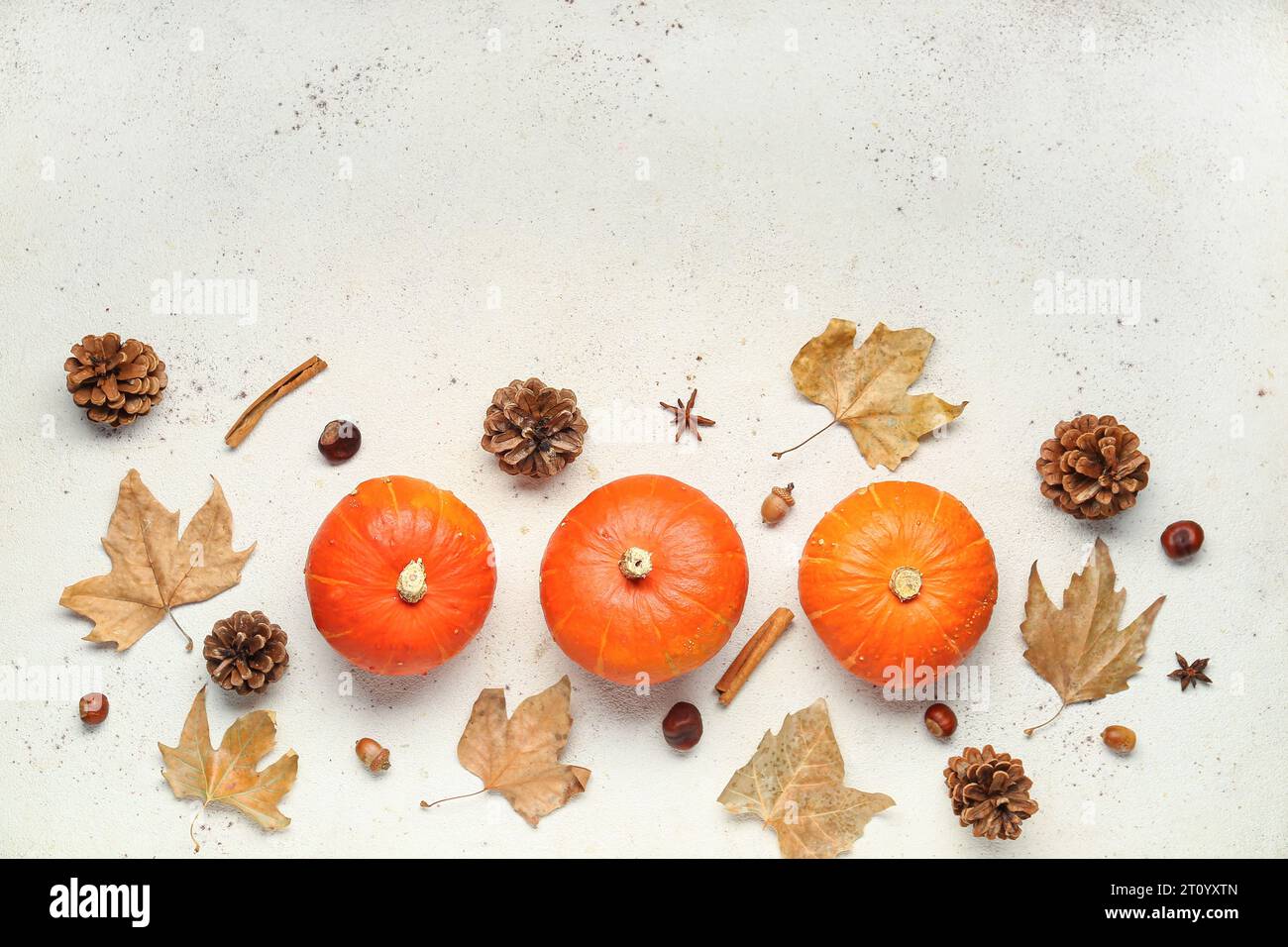 Fresh pumpkins with different spices, cones and autumn leaves on white ...