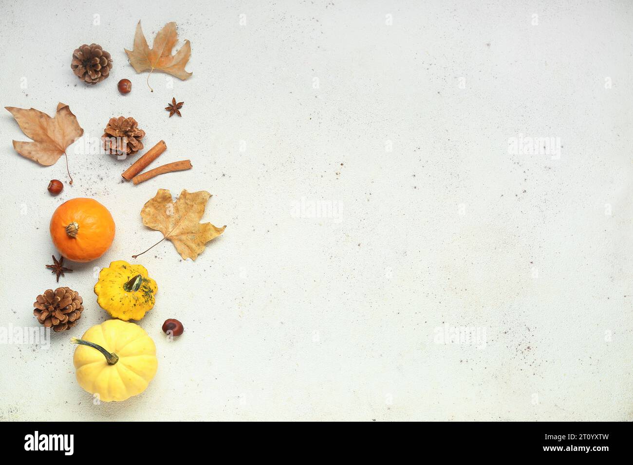 Fresh pumpkins with different spices, cones and autumn leaves on white ...