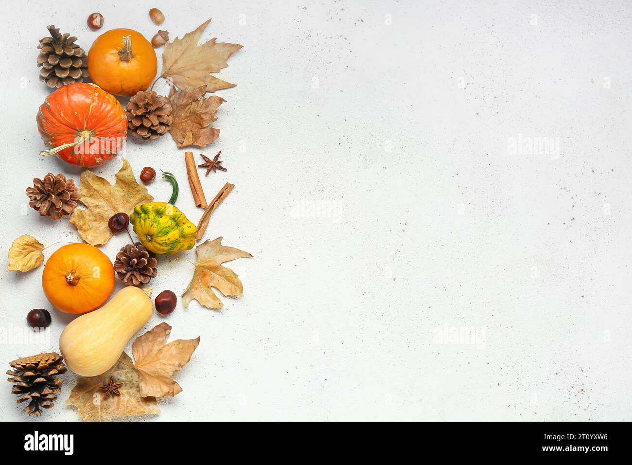 Fresh pumpkins with different spices, cones and autumn leaves on white ...