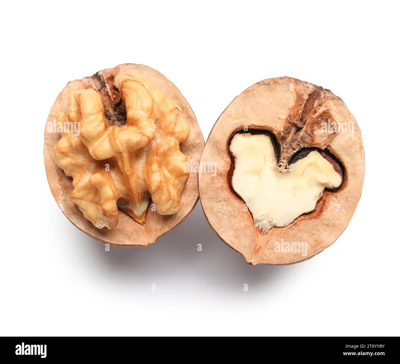 Halves of walnut on white background Stock Photo