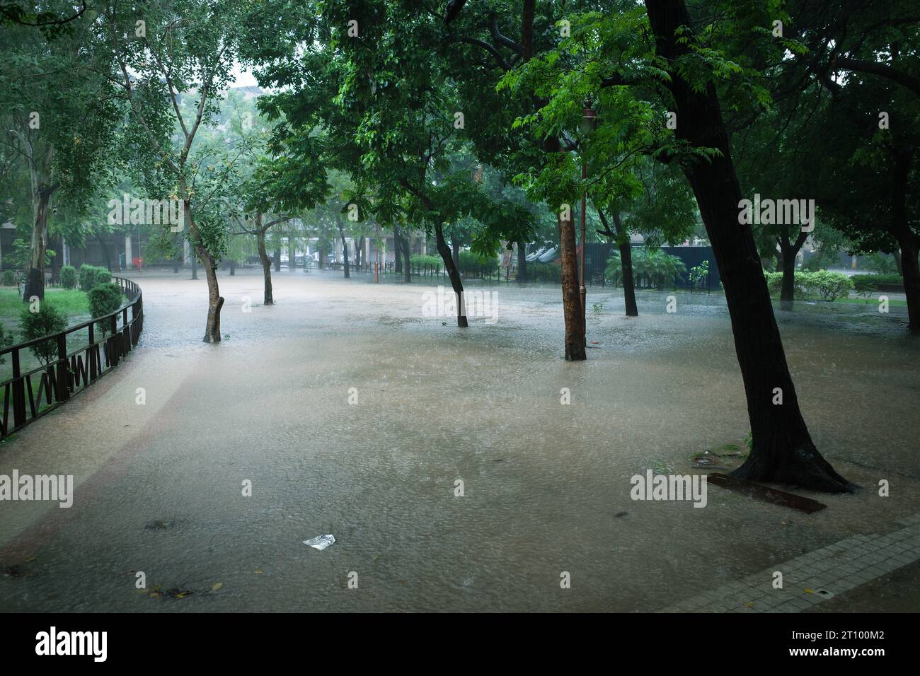 hotel-photo-gallery-hyatt-centric-sector-17-chandigarh