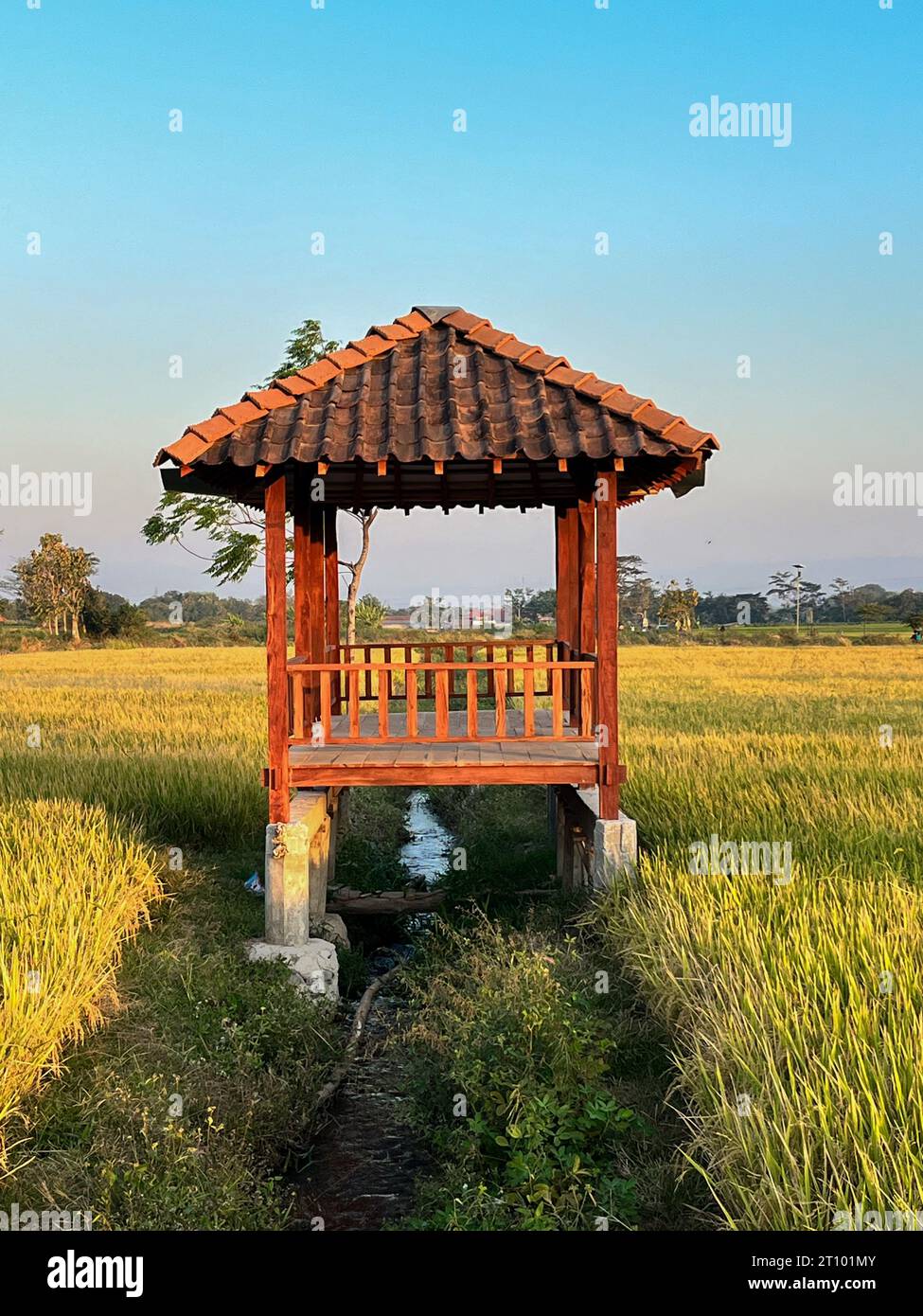 hut. Traditional farmer hut in the middle of rice fields in Asia. gazebo, pergola, shack, hovel, cottage in the rice fields Stock Photo