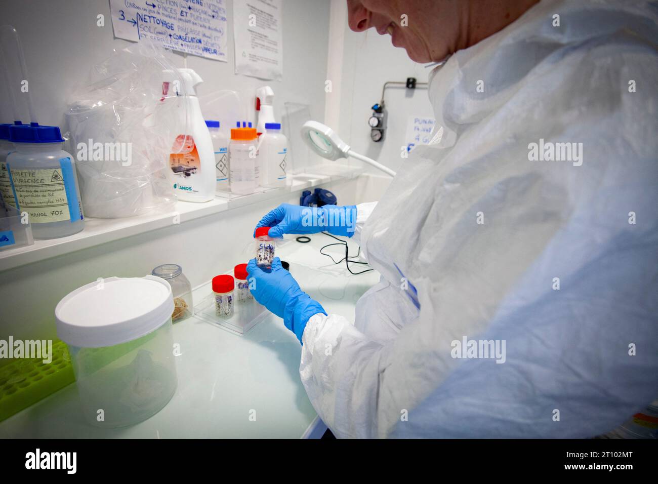 Lyon, France. 06th Oct, 2023. A researcher handles a bedbug farm, study ...