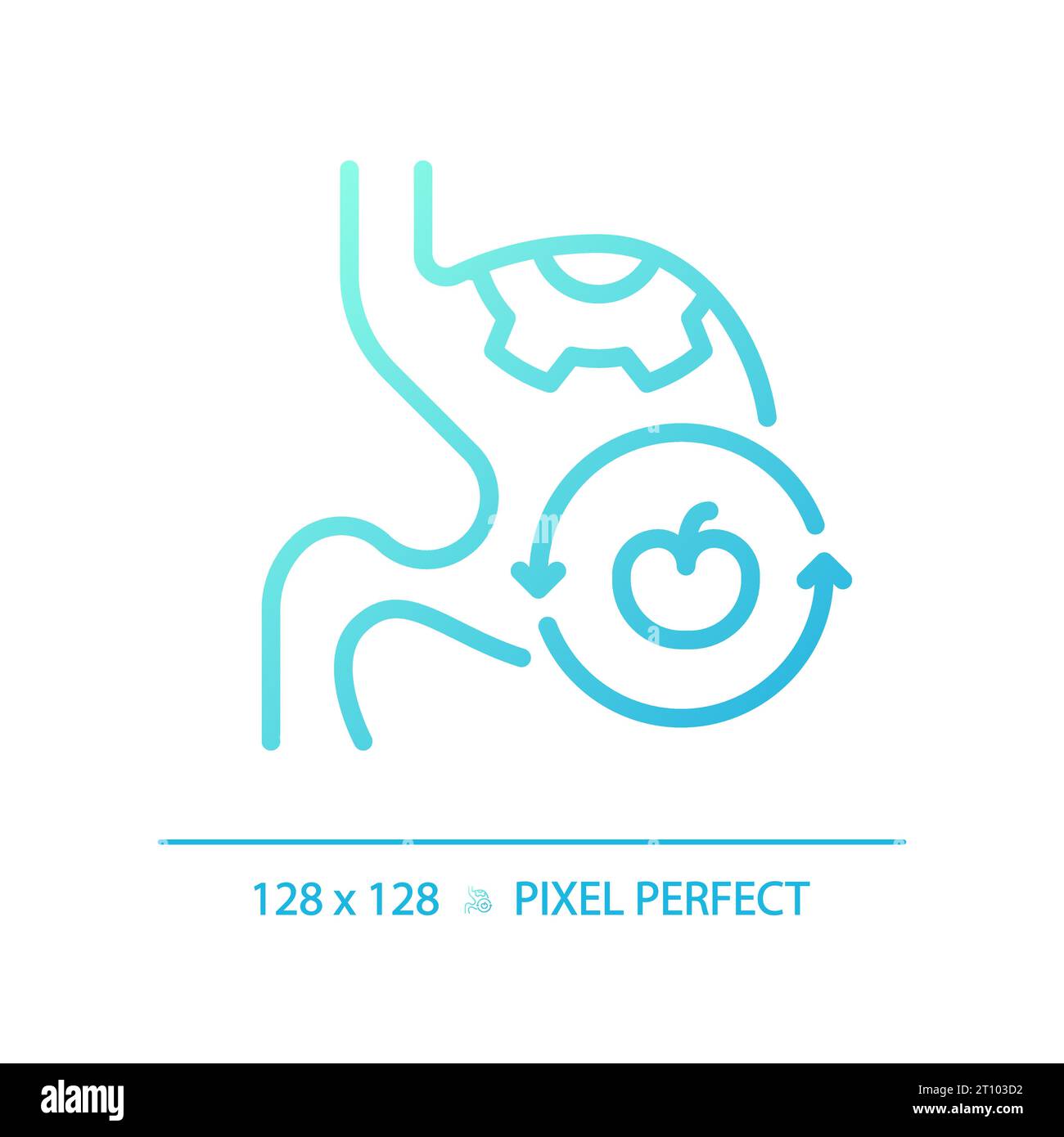 2D thin line gradient digestive system with fruit icon Stock Vector
