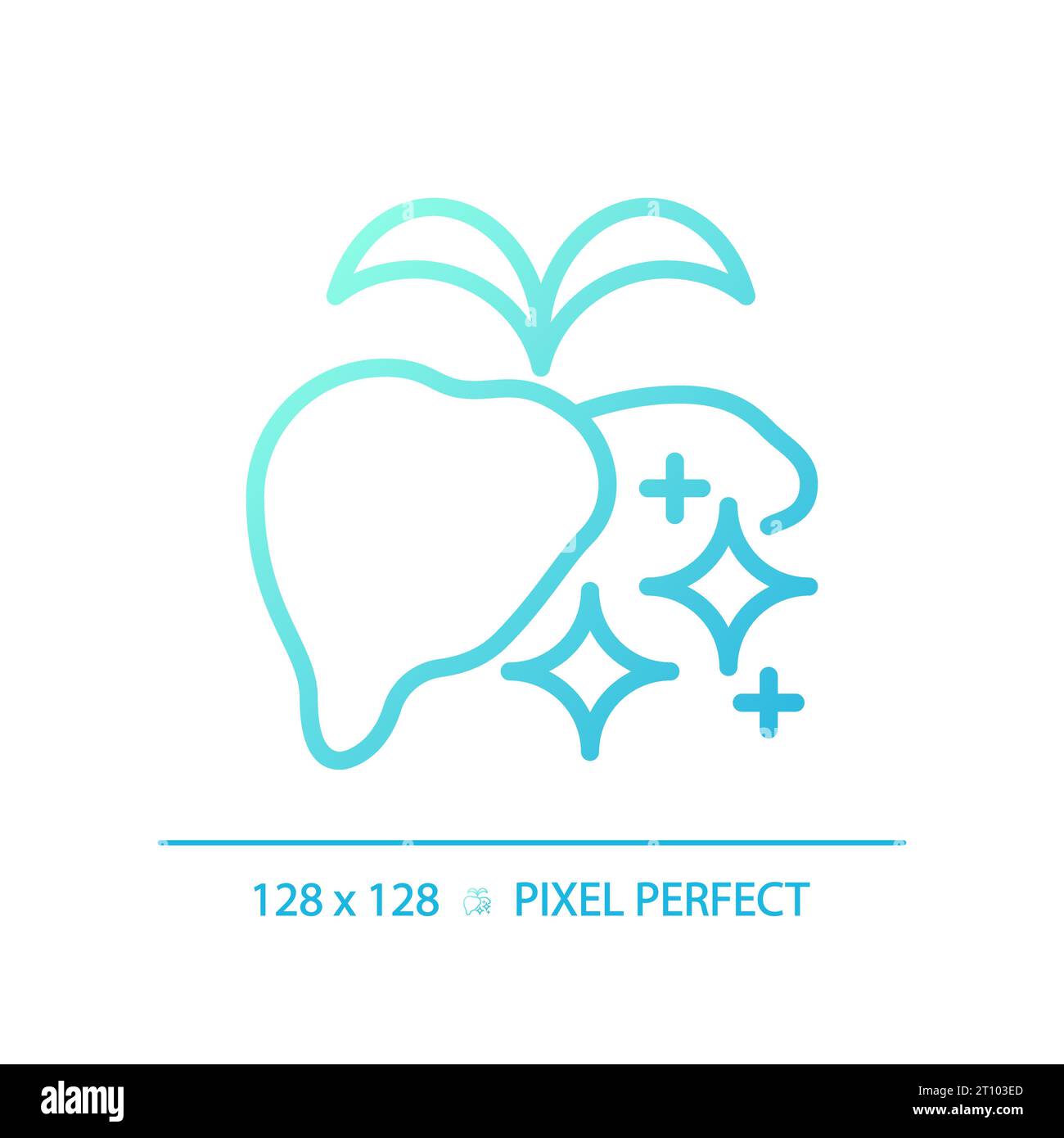 2D thin line gradient healthy liver icon Stock Vector