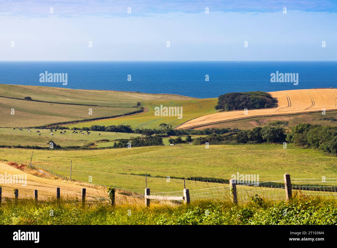 View of the Ocean and hills, Port Quin, Port Isaac, Cornwall, England, Great Britain, United Kingdom Stock Photo