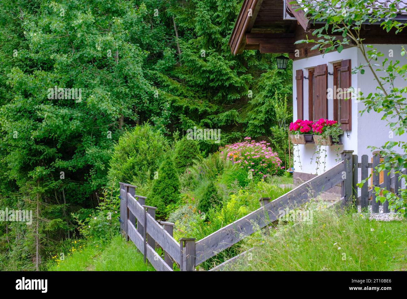 Austrian house, bright flowers, sloped garden with fence, tall trees