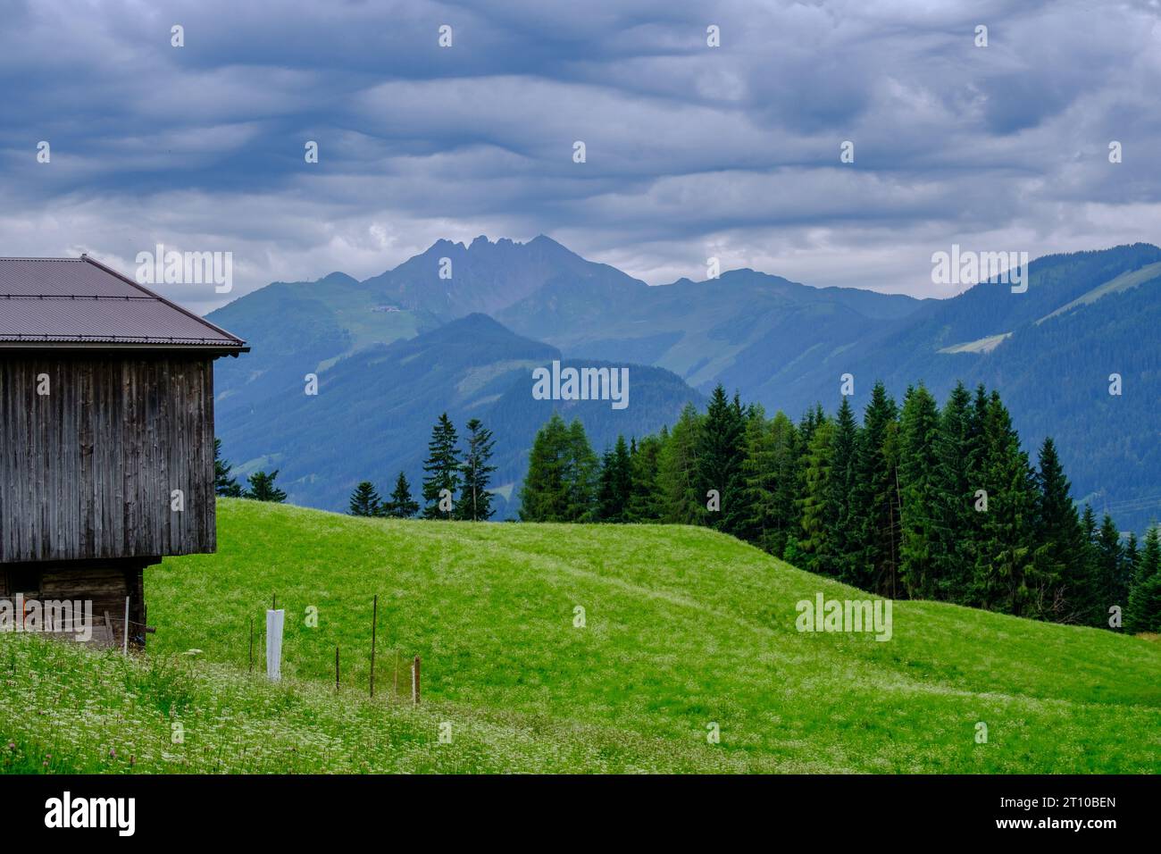 Wooden mountain hut, sloping green fields, a forest of tall trees & majestic mountains in Reith