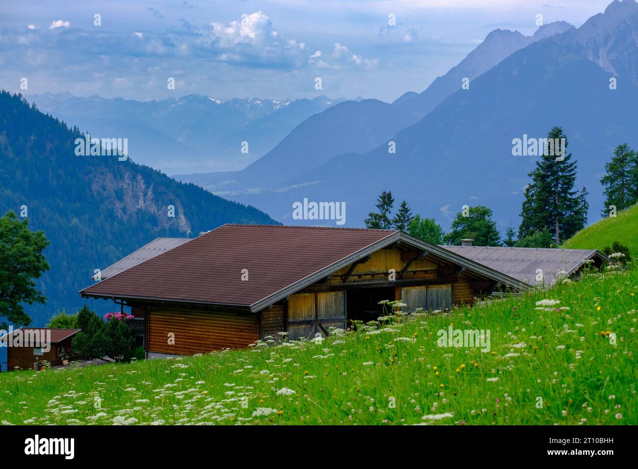 Traditional wooden houses on countryside slopes. Meadows with wild flowers, trees & mountains. Reith im Alpbachtal, Alpbachtal valley, Tyrol, Austria. Stock Photo