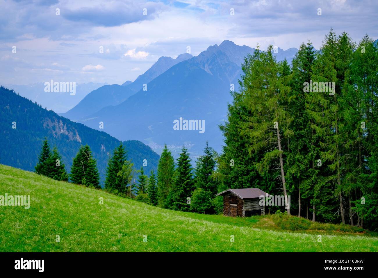 Tall mountain green forest hi-res stock photography and images - Alamy