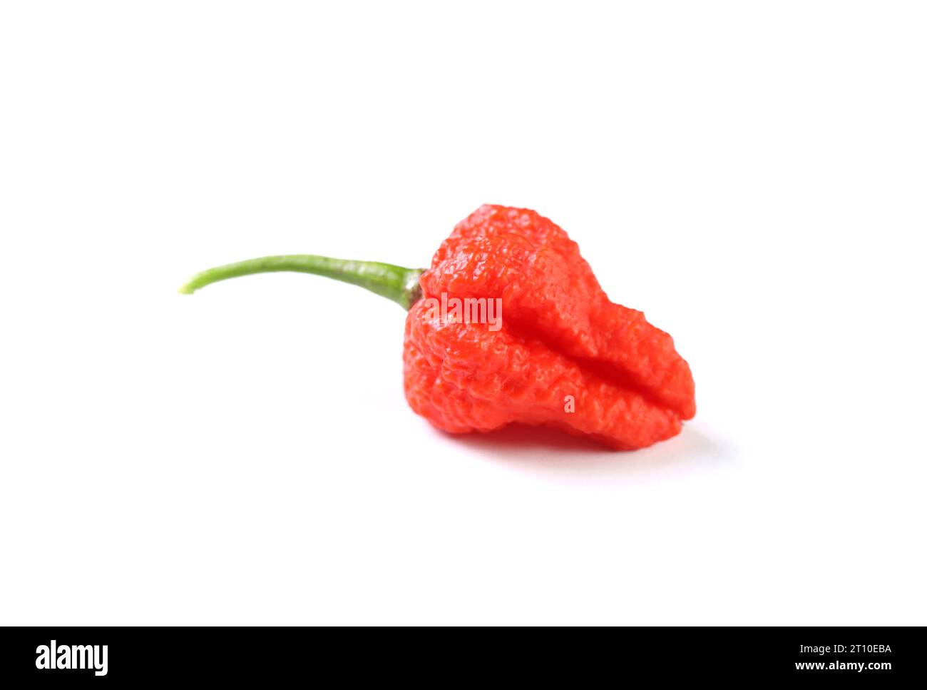 Single red hot chili pepper hi-res stock photography and images - Alamy
