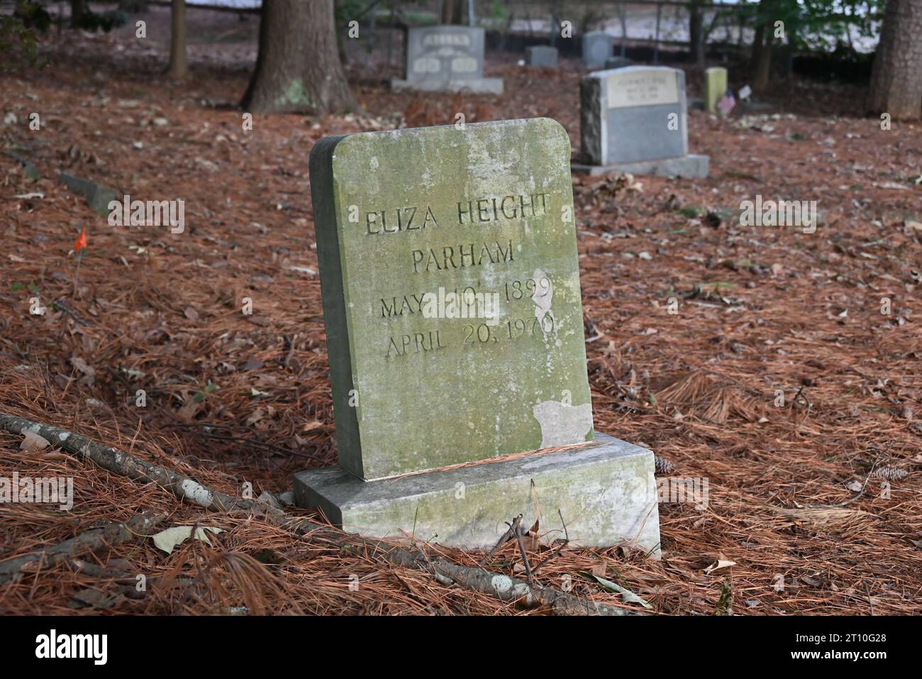 A weathered headstone tilted on an angle in the once abandoned African