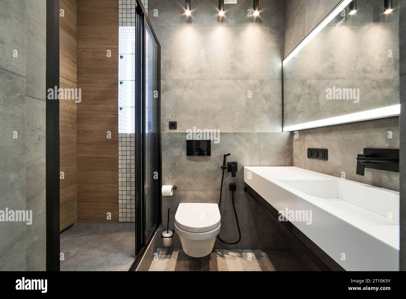 Modern luxury bathroom interior with toilet bowl Stock Photo - Alamy