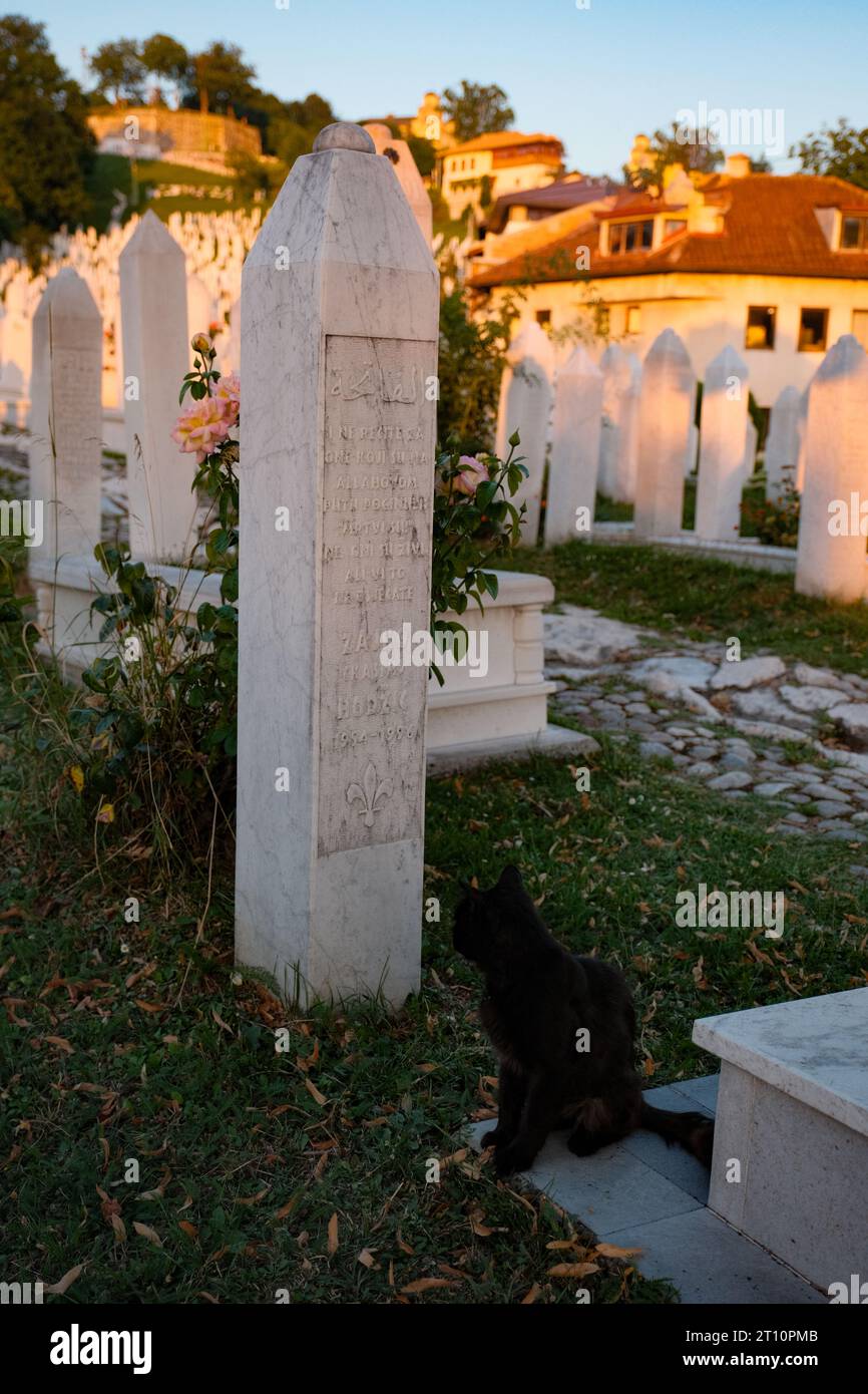 Emotional sunset at a Bosnian soldier's grave, serenely adorned by a black cat. A poignant moment of remembrance and companionship under the sun. Stock Photo