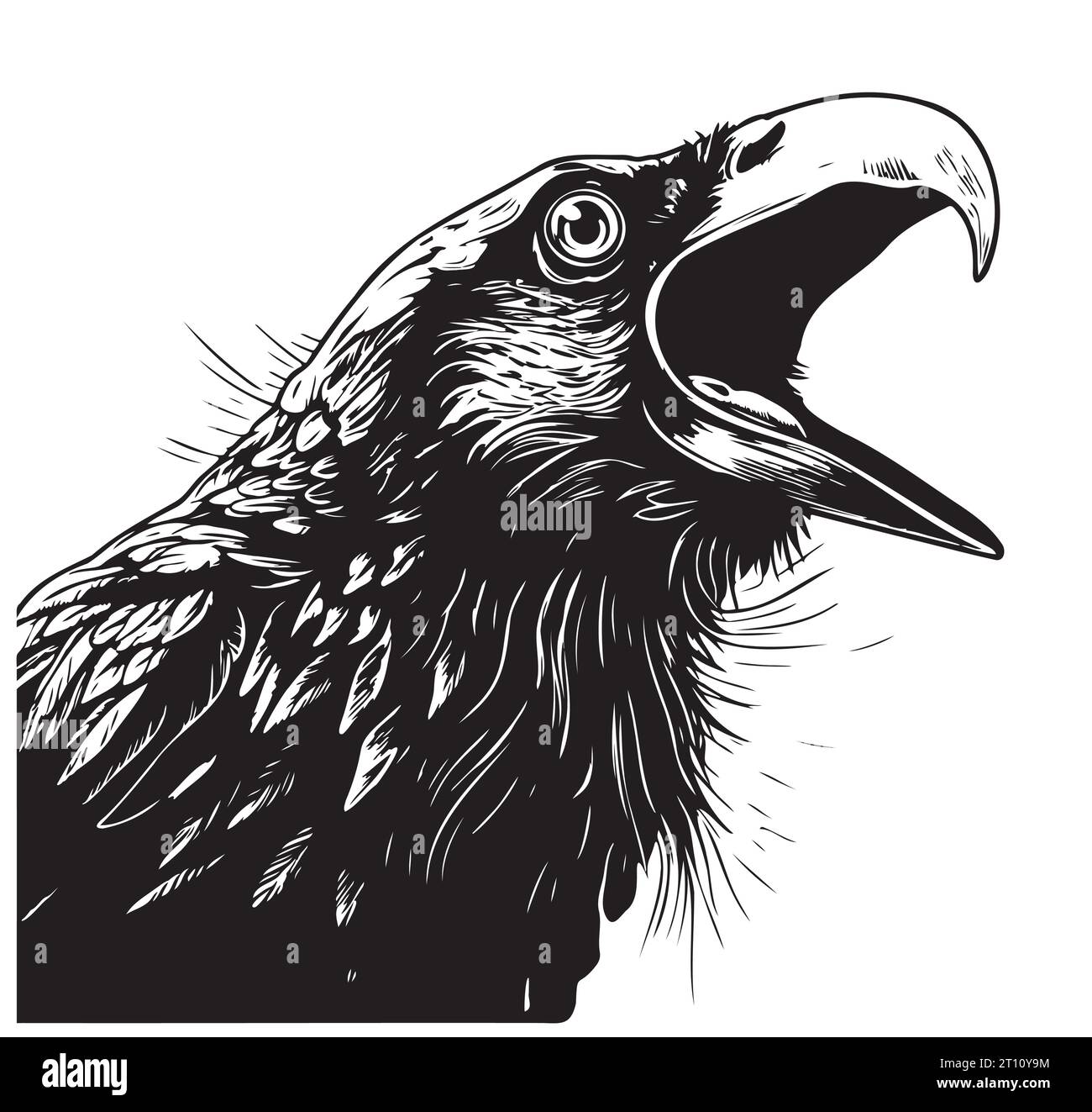 Angry Crow head sketch hand drawn Vector Wild birds Stock Vector