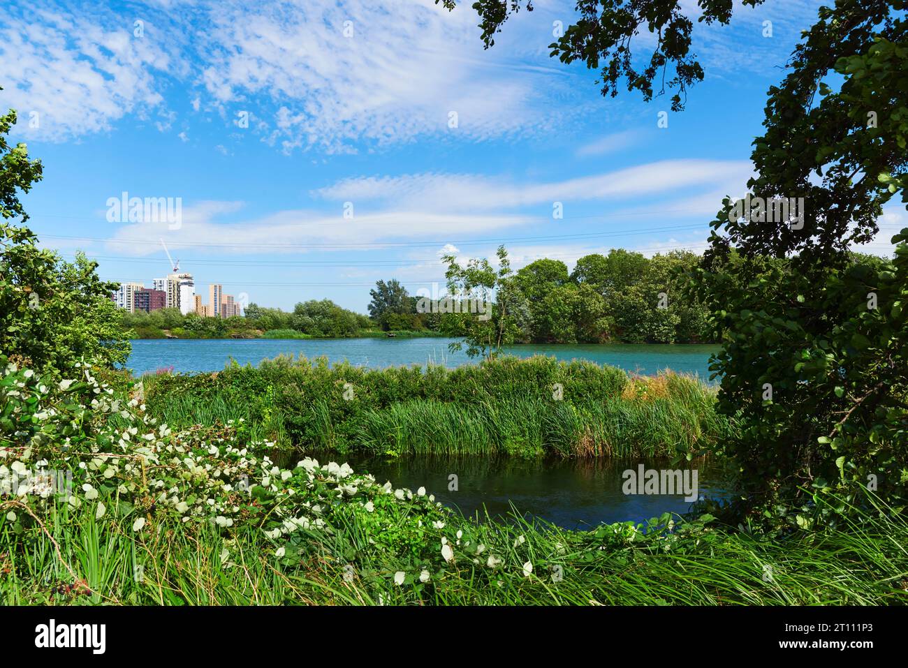 Walthamstow Wetlands nature reserve in summertime, Walthamstow, London