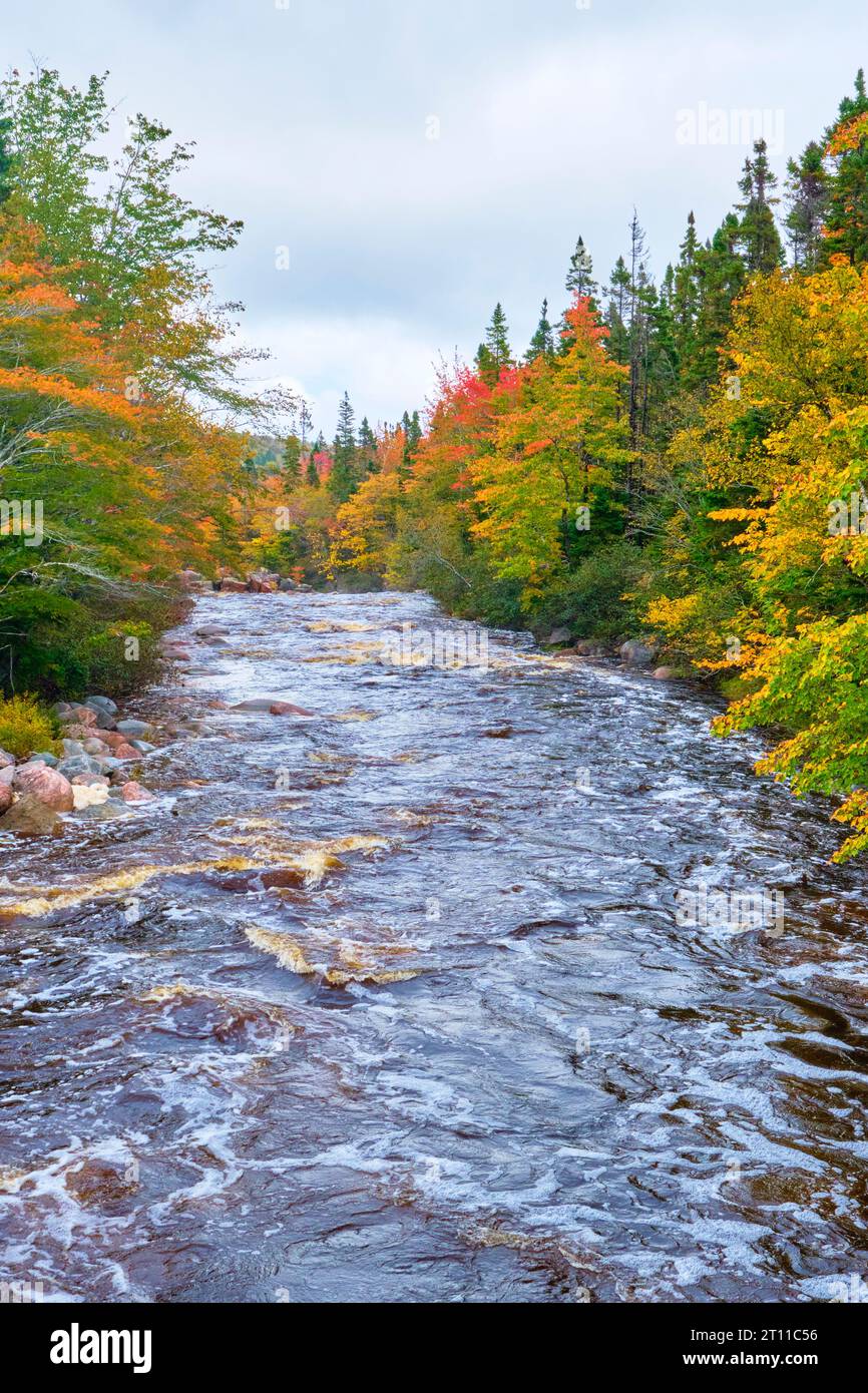 Halfway Brook is located within the Cape Breton Highlands neat the village of Neil's Harbour.  Phto taken durn autumn peak colour. Stock Photo