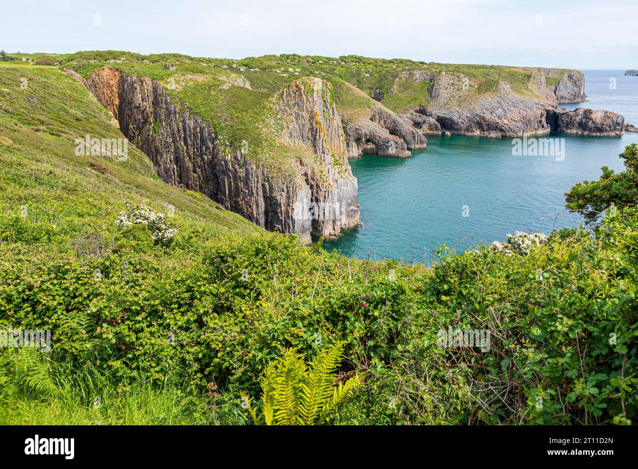 The view of the cliffs towards Lydstep Point from Skrinkle Haven, Lydstep in the Pembrokeshire Coast National Park, West Wales UK Stock Photo