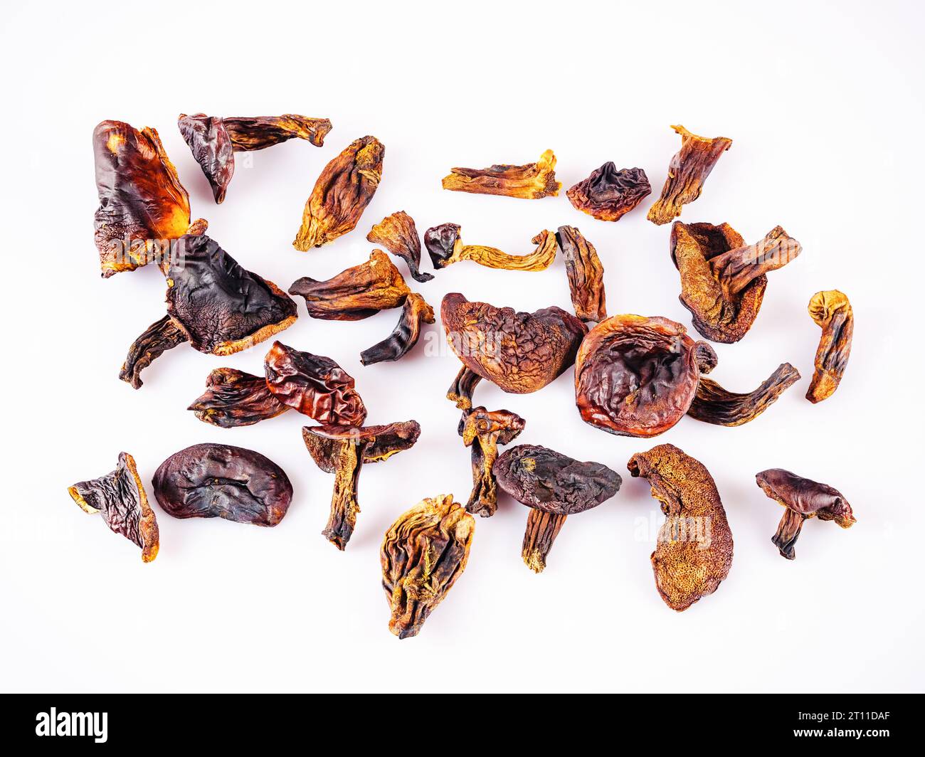 Dried wild mushrooms on a white surface Stock Photo