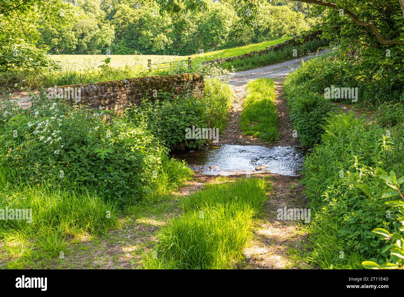 The Castle Carrock Beck going under a bridge on a lane at the foot of the Pennines near the village of Castle Carrock, Cumbria, England UK Stock Photo